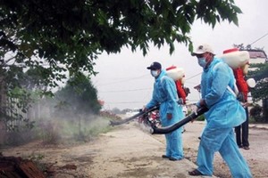 Health workers are spraying chemicals to kill mosquitoes (Photo: SGGP)