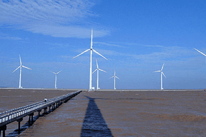 A wind power station in the southwest province of Bac Lieu. (Photo: SGGP)