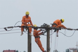 Workers of the Power Company of Bac Ninh check electrical cables. — VNA/VNS Photo