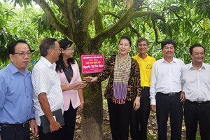 NA Chairwoman Nguyen Thi Kim Ngan and NA delegators  visit mango-planted My Xuong Commne in dong thap Province (Photo: SGGP)