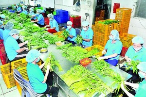 Agricultural exports to Thailand market surge