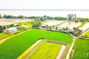 A paddy field in Chau Thanh District in Tra Vinh Province in the Mekong Delta (Photo: SGGP)