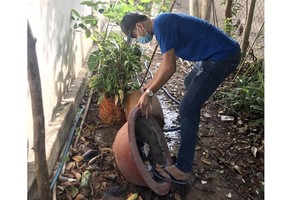 Dengue cases in Binh Duong Province drop