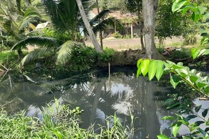 Wastewater from the industrial park has polluted canals around the industrial parks. (Photo: SGGP)