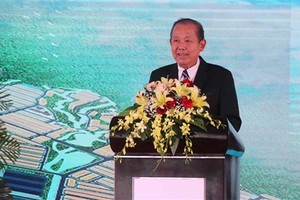 Deputy Prime Minister Truong Hoa Binh addresses the ceremony (Photo: VNA)