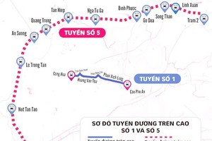 A map of the routes of proposed overhead roads that will help ease traffic congestion in HCM City (Photo: tuoitre.vn)