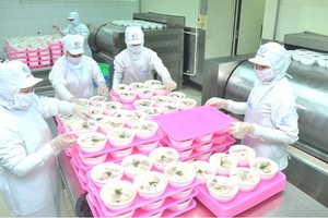 Dong Nai attracts more FDI projects (Photo: SGGP)