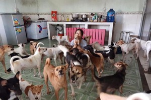 Nguyen Thi Thanh Ha with her dogs. — Photo tienphong.vn