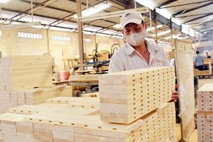 Vietnam to make rubberwood for sustainable exports: Vietnam Rubber Association