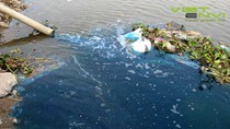 Aquatic firm receives fine of US$5,176 for polluting environment