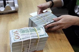 The State Bank of Vietnam set the daily reference exchange rate at VND 23,125 per US$ on February 22. (Photo: VNA)