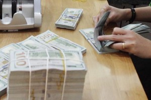 Reference exchange rate stable at week’s beginning