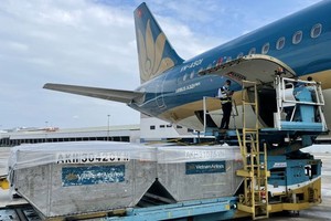 580,000 Covid-19 vaccine doses arrive in Tan Son Nhat Airport 