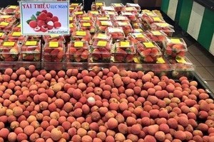 Vietnamese firms urged to file for IP protection in foreign markets