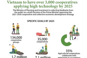 Vietnam to have over 3,000 cooperatives applying high technology by 2025