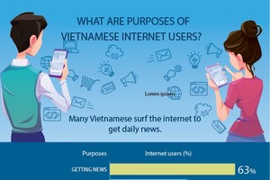What are purposes of Vietnamese internet users?