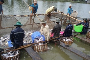 Aquatic product exports likely to earn US$9 billion in 2021: Experts