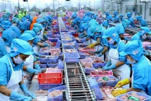 PM approves power bill cut for Covid-19 affected companies