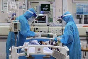 Vietnam to cooperate with French firm for clinical trials of XAV-19 Covid drug