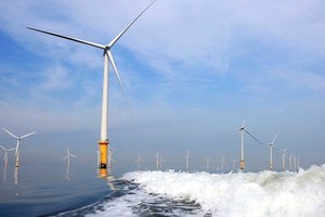 Vietnam has substantial potential for offshore wind power: report