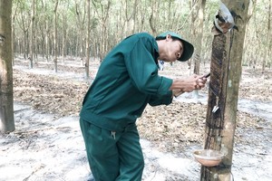 Vietnam’s rubber export to US sees sharp surge