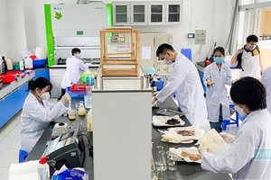 Schools try to help final-year students