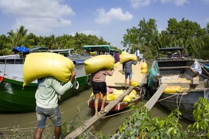Vietnam's five-percent broken rice price increases in foreign markets