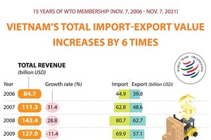 15 years of Vietnam's WTO membership
