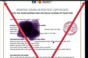 Health authority in HCMC denies rumor of Omicron patient detection