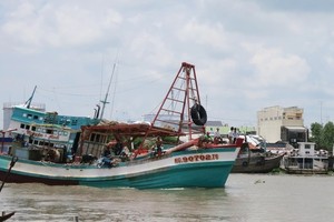 Authority installs monitoring devices on offshore fishing boats in Kien Giang