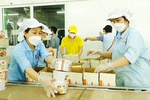 More solutions needed for HCMC's growth