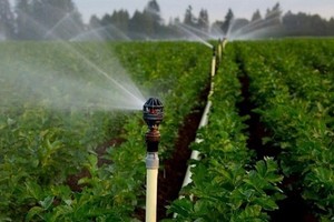 World Water Day 2022 urges greater attention to groundwater