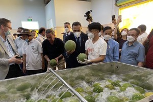 Vietnam Cooperative Development Project helps promote pomelo exports to Canada