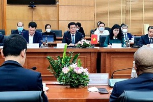 Vietnam wants to import coal from Africa, Australia for electricity production