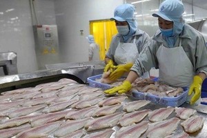 Vietnam’s pangasius exports surge in Q1