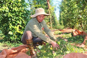 Vietnam’s exports to UK up 16.4 percent last year