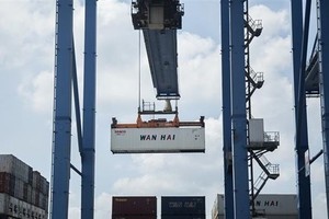 Vietnam-Brazil trade growing: official