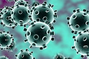 Ministry requires report of unusual acute hepatitis cases