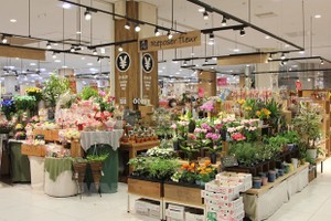 Japan now remains one of the important flower export markets of Vietnam