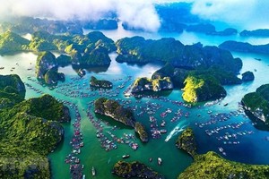 Huge potential for Vietnam to promote blue economy