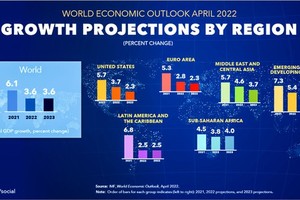 Rising interest rate no solution for inflation
