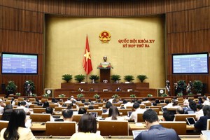 Legislators vote on a resolution, two draft laws on June 15