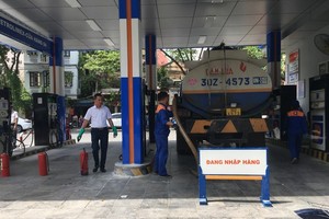 Vietnam to increase national reserves of petroleum: Deputy Minister