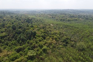 UNESCO proposes not to build road through World Biosphere Reserve’s core zone