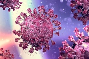 HCMC detects three cases of Omicron variants BA.4 and BA.5