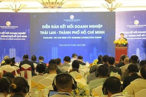 Recommendations put forward to boost Thailand-HCMC trade, investment