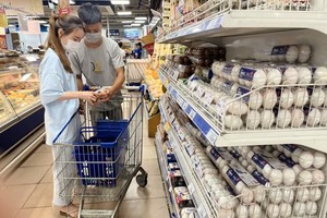 Vietnam’s economic growth accelerates on back of exports: Bloomberg