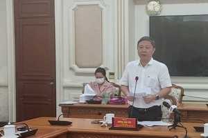 HCMC plans to collect cases of dengue fever for treatment