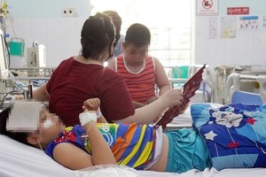 Ho Chi Minh City ready to treat 6,000 cases of dengue fever