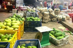 50% of vegetables, fruits at wholesale markets contaminated: Food  watchdog